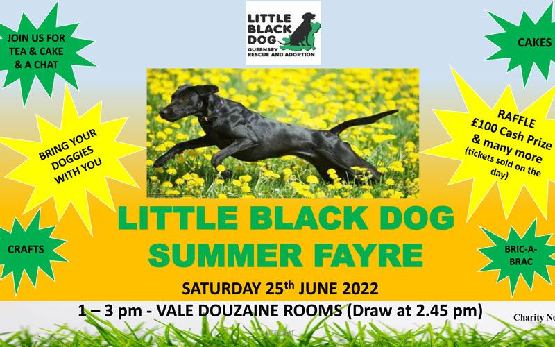 LITTLE BLACK DOG Summer Fayre 25th June 2022