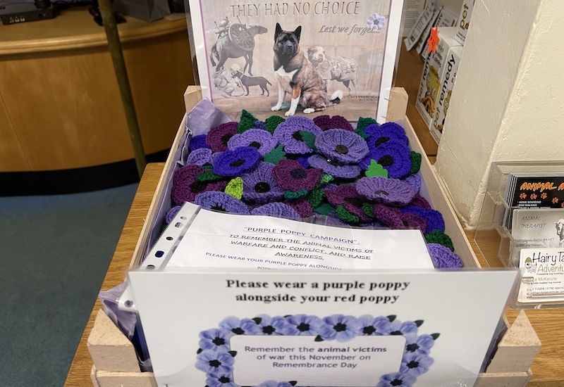 Purple poppies on sale for animal victims of warfare
