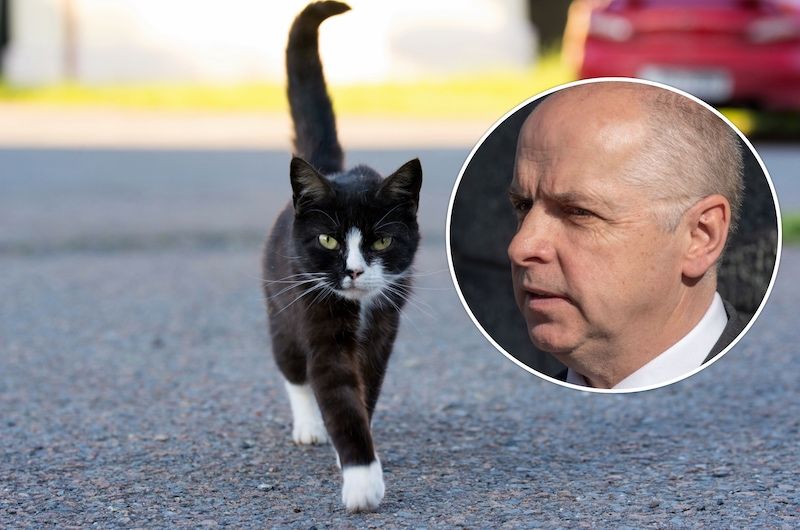 E&I resolve to give cats legal road rights