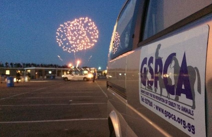 GSPCA’s top tips ahead of November fireworks