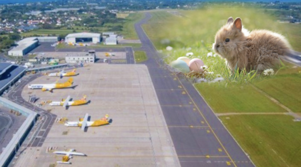Guernsey Airport expects to be EGGS-tra busy this Easter weekend