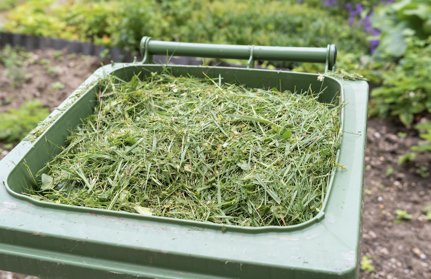 Guernsey Waste considering green waste collections