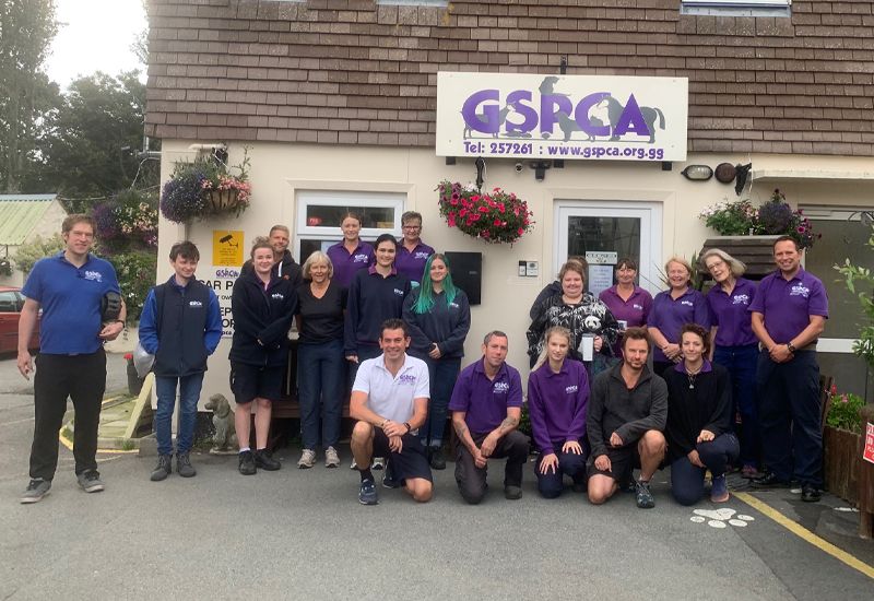 Vacancies at the GSPCA - Animal Care Assistant, Ambulance Driver and Casual Post