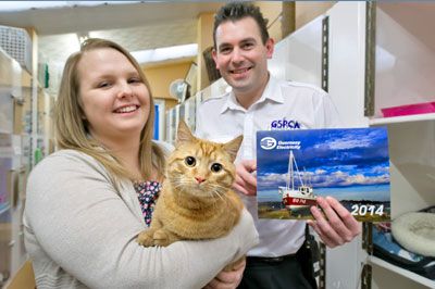 GSPCA cattery benefits from sales of Guernsey Electricity’s 2014 calendar