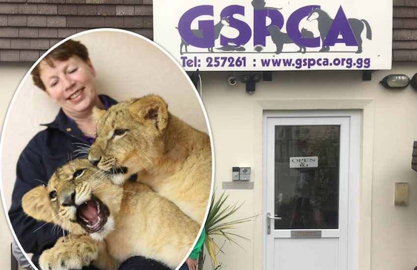Tributes paid to former GSPCA boss
