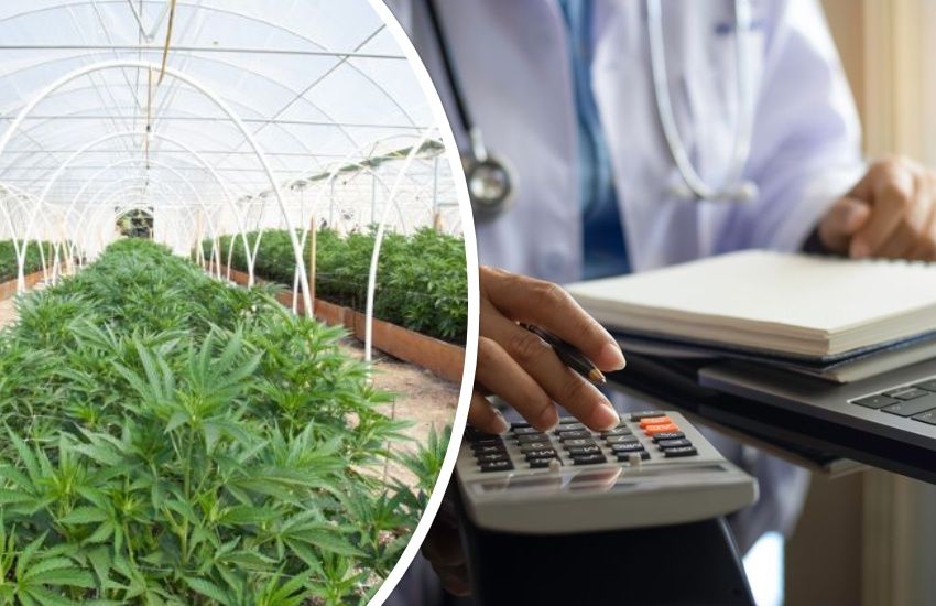 Cannabis law review moves closer - and States to debate GP costs