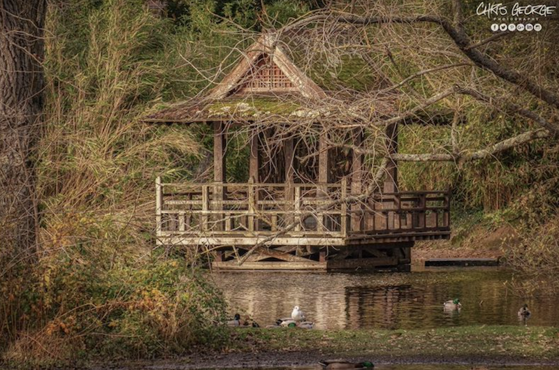 Plans in place to rebuild iconic pavilion at Saumarez Park