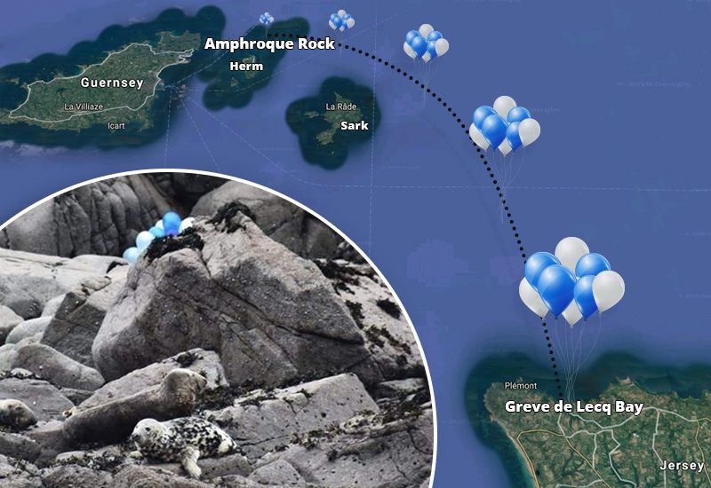 Party balloons risking sea life as they drift from Herm to Jersey