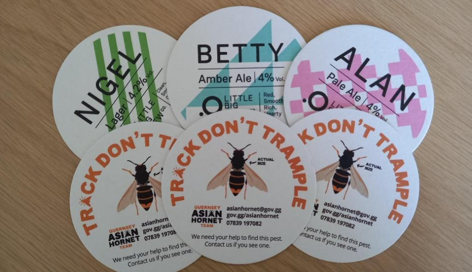 Pub goers called upon in the fight against Asian Hornets