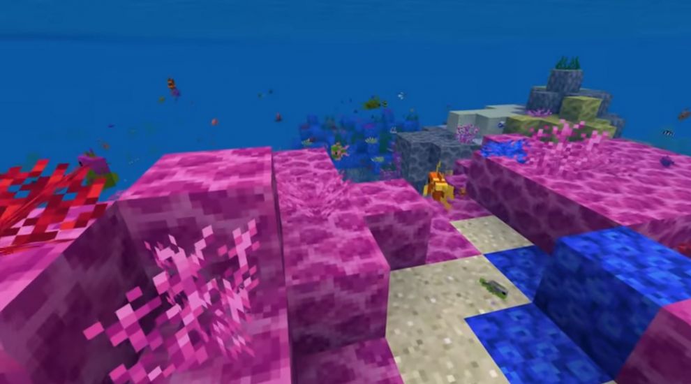 How Minecraft player creations are being used to help rebuild coral reefs