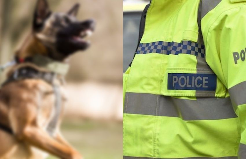 Police appeal over dog attack