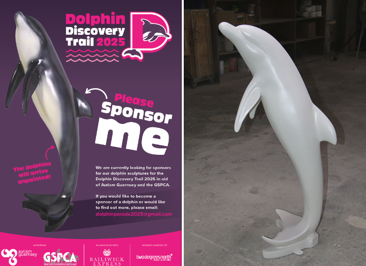 Artists and sponsors invited to join the Dolphin Discovery Trail