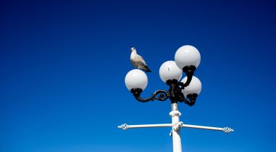 ‘Smart’ lampposts in Singapore to trial facial recognition technology