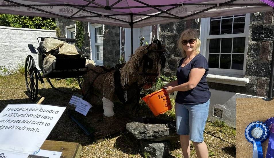 3rd place for the GSPCA Torteval Scarecrow Festival entry