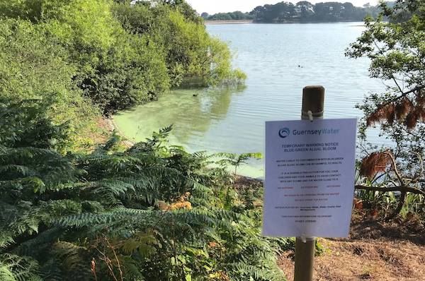 Potentially toxic algae found at Guernsey's main reservoir