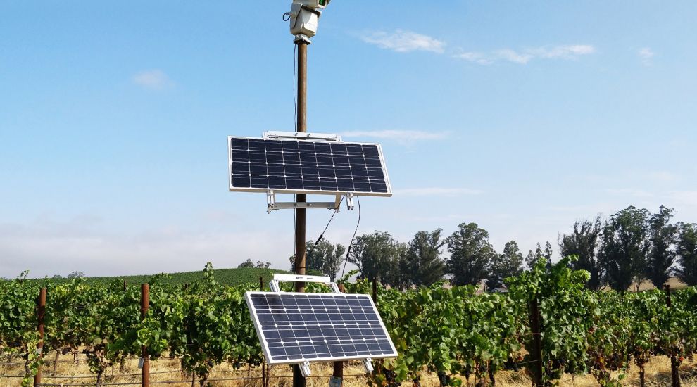 How robotic lasers are being used to protect wine crops from birds in California