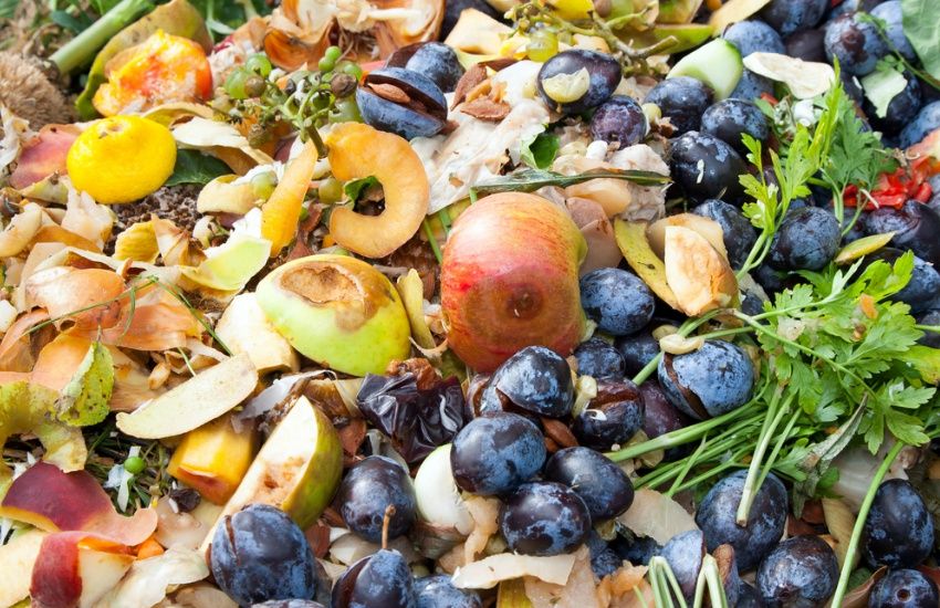 Bid to allow local diversion of food waste