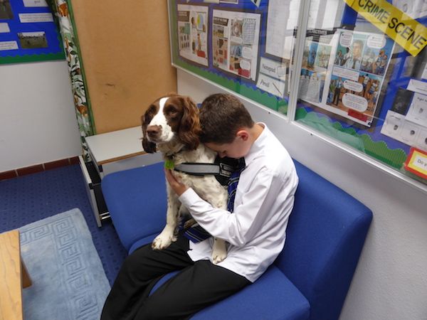 Therapy dogs helping Les Voies School pupils