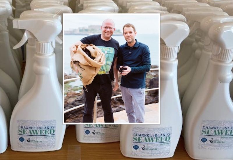 Seaweed sanitiser now for sale