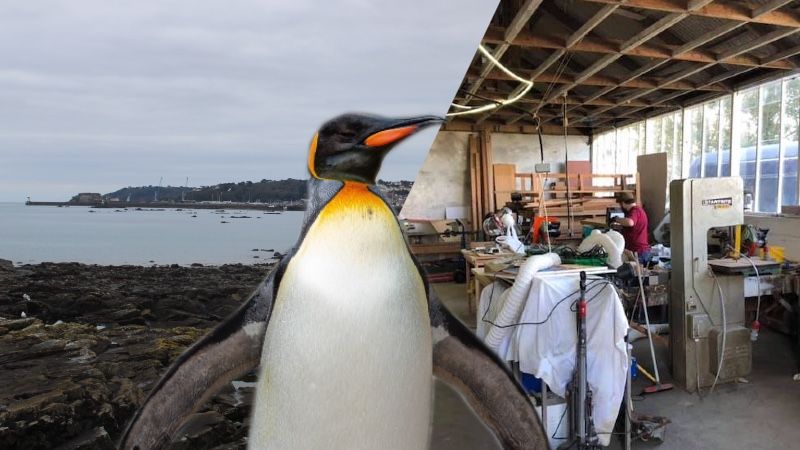 Penguin Walk looking to help raise the roof for Mens Shed