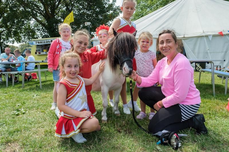Funding for Shetland pony therapy scheme