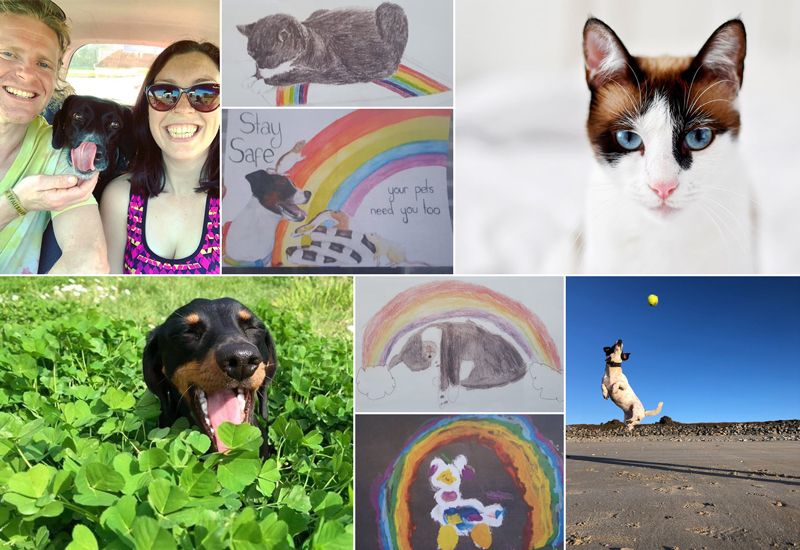 Petshow, Share the Rainbow and Pets Drawing winners