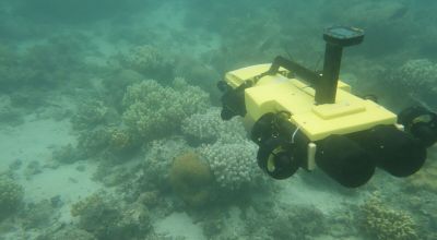 Underwater drones kill crown-of-thorns starfish to protect Great Barrier Reef