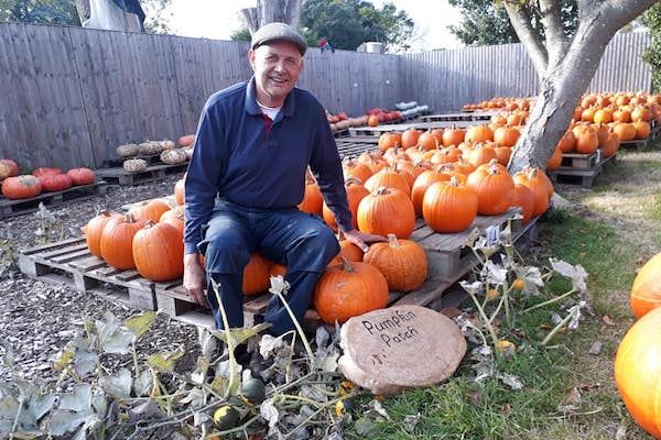 Pumpkins galore and much more!