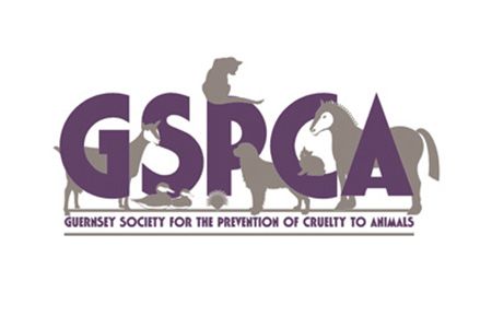 GSPCA APPEAL - Kennel refurbishments begin