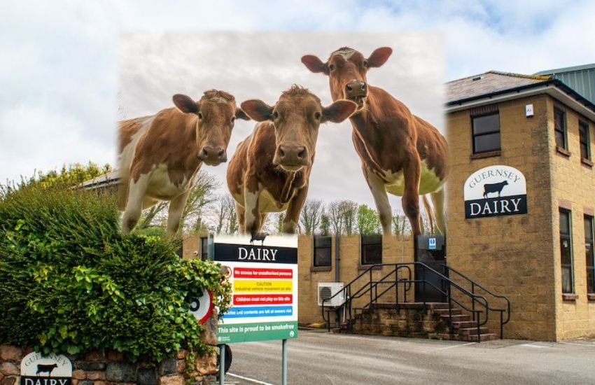 Preferred site chosen for new dairy