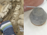 Unusual, 2,000 year old pot found at Alderney dig site