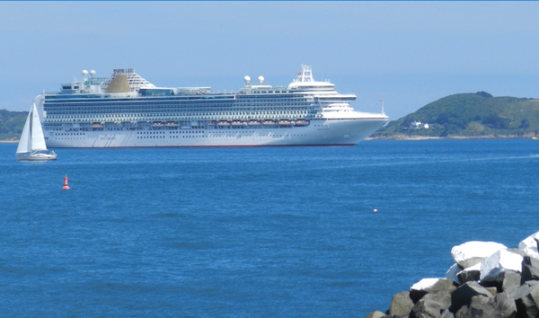 Cruise ship passengers up, other visitor numbers down